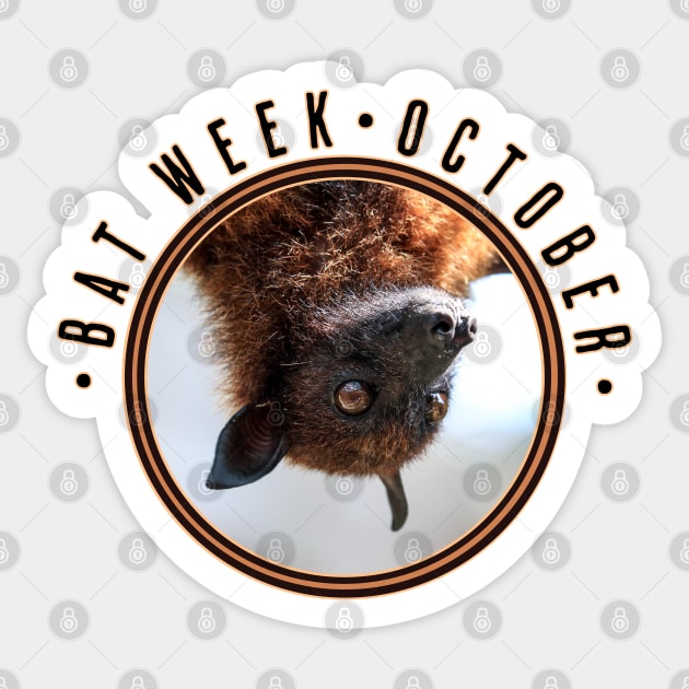 Bat Week, flying fox Sticker by HolidayBug